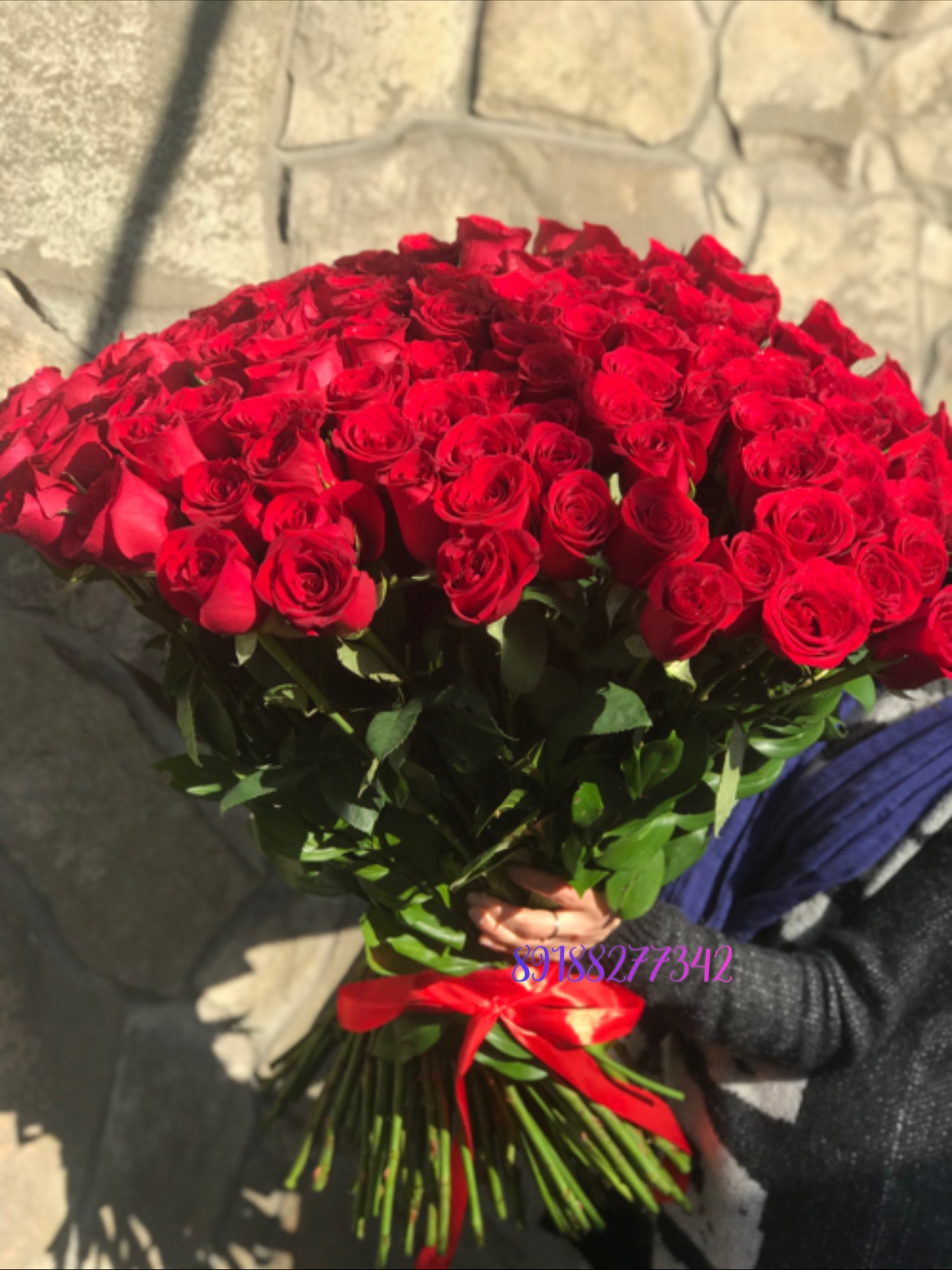 101 красная роза фридум